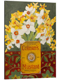Aluminium print White and yellow daffodils in Colman's mustard tin - Jennifer Abbott