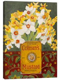 Canvas print White and yellow daffodils in Colman's mustard tin - Jennifer Abbott