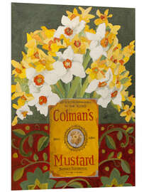 Foam board print White and yellow daffodils in Colman's mustard tin
