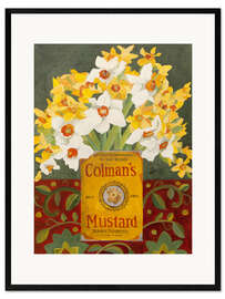 Gerahmter Kunstdruck Weiße und gelbe Narzissen in Colmans Senfdose