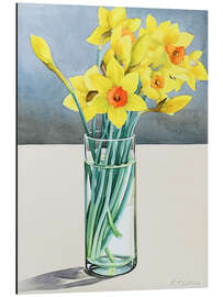 Aluminium print Supermarket Daffodils - Christopher Ryland