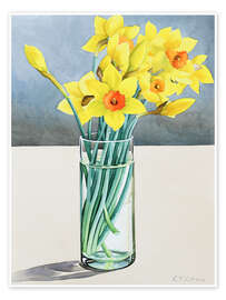 Wall print Supermarket Daffodils - Christopher Ryland