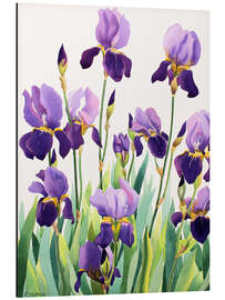 Alubild Lila Iris