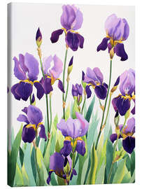 Tableau sur toile Purple Irises
