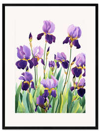 Stampa artistica con cornice Purple Irises