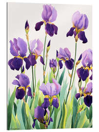 Gallery print Purple Irises