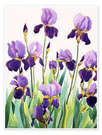 Wall print Purple Irises - Christopher Ryland