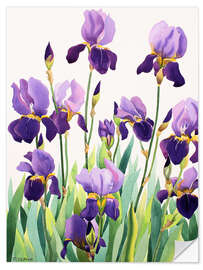 Wall sticker Purple Irises
