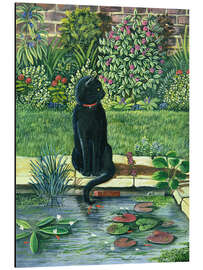 Magnettafel Schwarze Katze an einem Teich