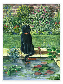 Póster Black cat at a pond