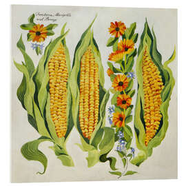 Tableau en verre acrylique Corn and marrow flowers - Jennifer Abbott