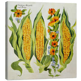 Obraz na płótnie Corn and marrow flowers - Jennifer Abbott
