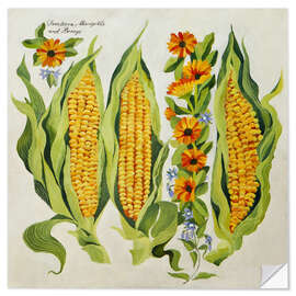 Sticker mural Corn and marrow flowers - Jennifer Abbott
