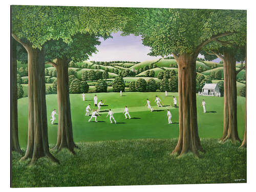 Obraz na aluminium Village Cricket