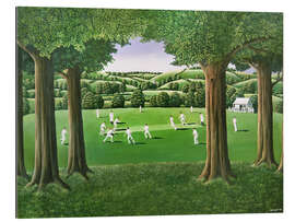 Cuadro de plexi-alu Village Cricket
