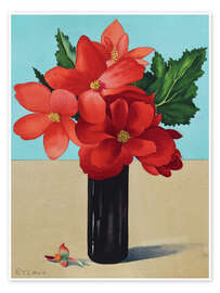 Wall print Red Begonias - Christopher Ryland