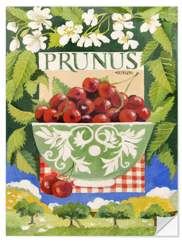 Sticker mural Prunus Avium