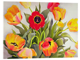 Acrylic print Orangefarbene und rote Tulpen - Christopher Ryland