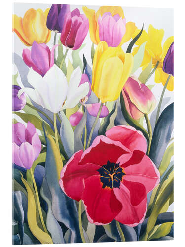 Obraz na szkle akrylowym Tulips