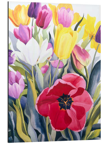 Aluminium print Tulips