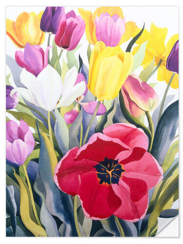 Naklejka na ścianę Tulips