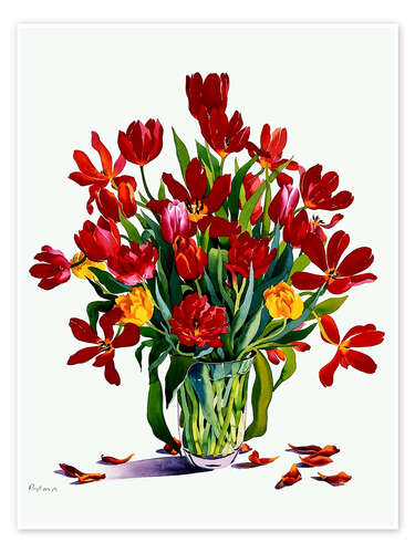 Poster Tulips