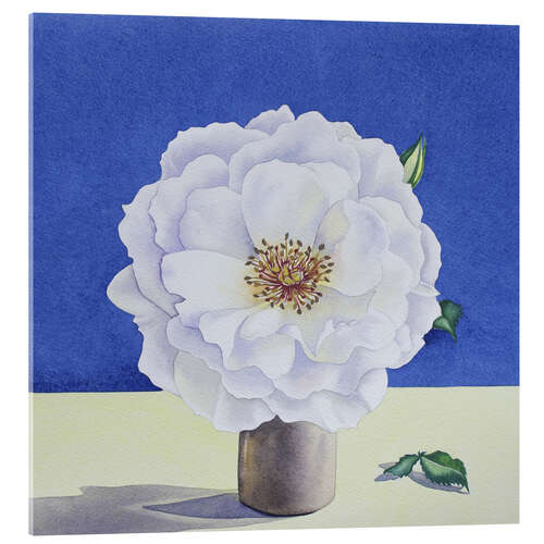 Akryylilasitaulu White Rose