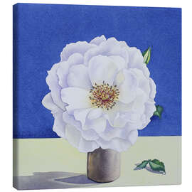 Canvas print White Rose - Christopher Ryland