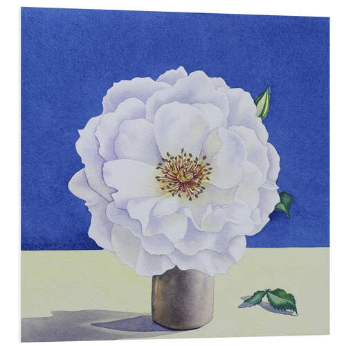 Tableau en PVC White Rose