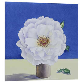 Tableau en PVC White Rose