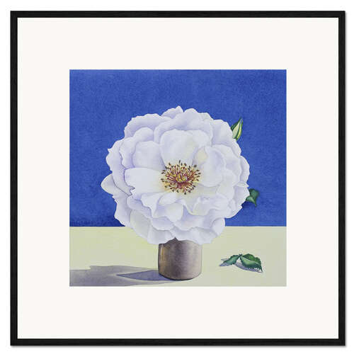 Framed art print White Rose