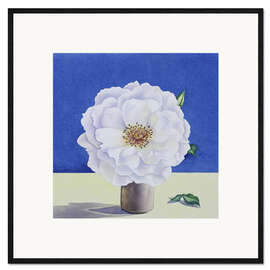 Framed art print White Rose - Christopher Ryland