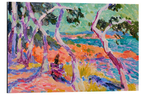 Obraz na aluminium Mediterranean trees