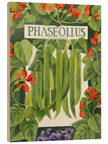 Obraz na drewnie Phaseollus (Runner Beans)