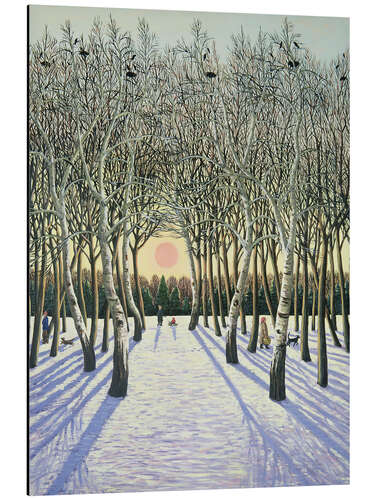 Aluminium print Sunset under Russian trees