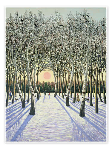 Póster Sunset under Russian trees