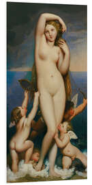 Hartschaumbild Venus Anadyomene