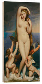 Cuadro de madera Venus Anadyomene - Jean-Auguste-Dominique Ingres