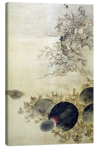 Canvas print Hwajodo