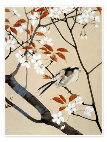 Póster Bird and cherry tree