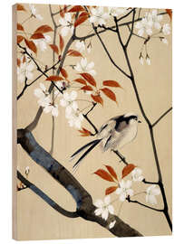 Obraz na drewnie Bird and cherry tree
