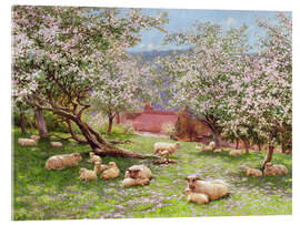 Acrylic print Apple blossom - William Biscombe Gardner