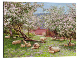 Aluminiumtavla Apple blossom - William Biscombe Gardner
