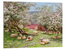 Gallery print Apple blossom - William Biscombe Gardner