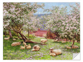 Wandsticker Apfelblüte