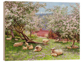 Quadro de madeira Apple blossom - William Biscombe Gardner