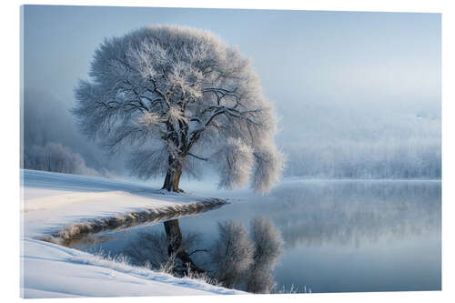 Acrylic print 