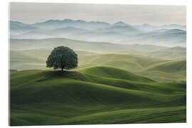 Obraz na szkle akrylowym Green Landscape