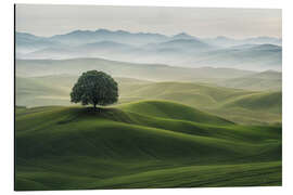 Magnettafel Grüne Landschaft