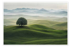 Poster Green Landscape